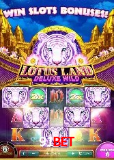 Experiência VIP 91bet